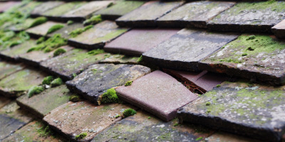 Danesfield roof repair costs